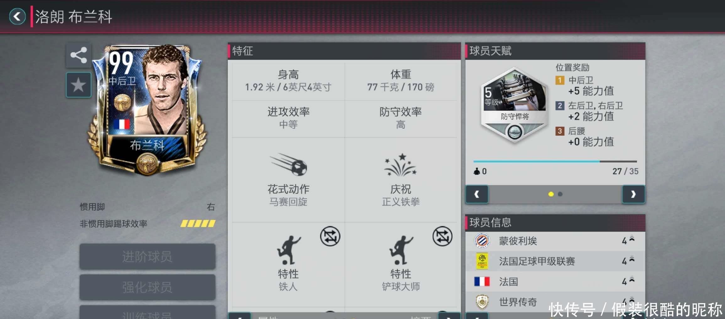 箭老鹰黄蜂